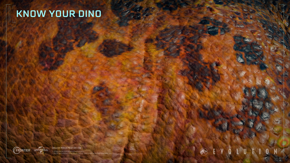 Know Your Dino.jpg