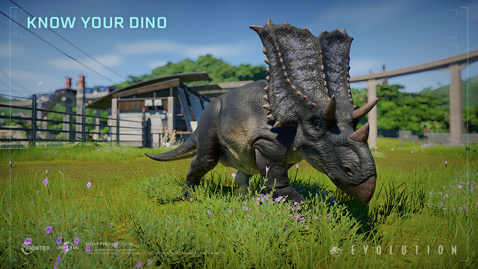 Know_Your_Dino_Chasmosaurus_960x540.jpg