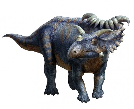 Kosmoceratops-547x444.jpg