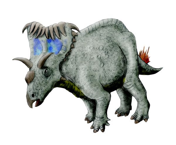 144193