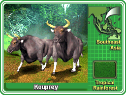 Kouprey - Collector Card.png