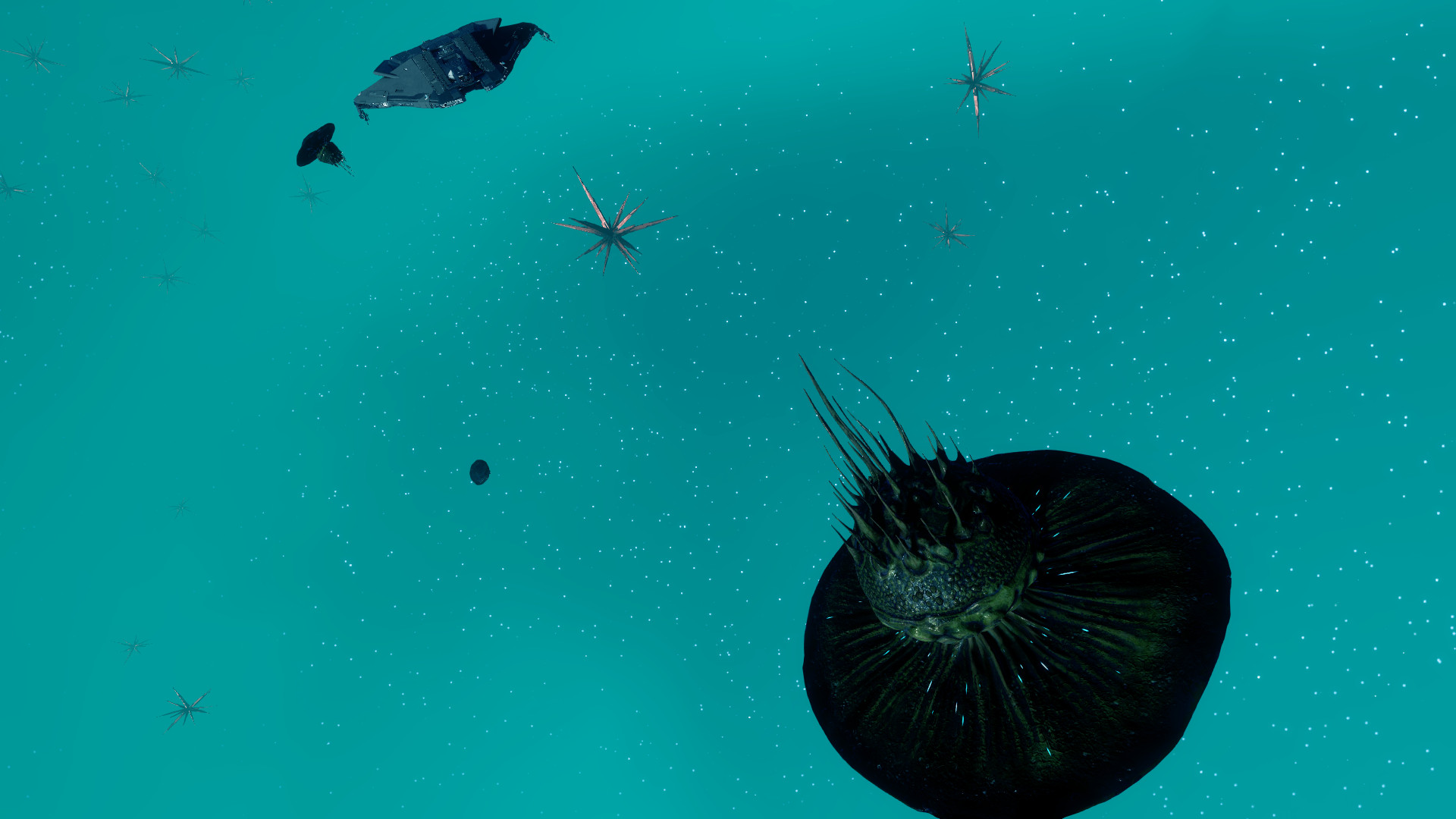 krait_molluscs.jpg