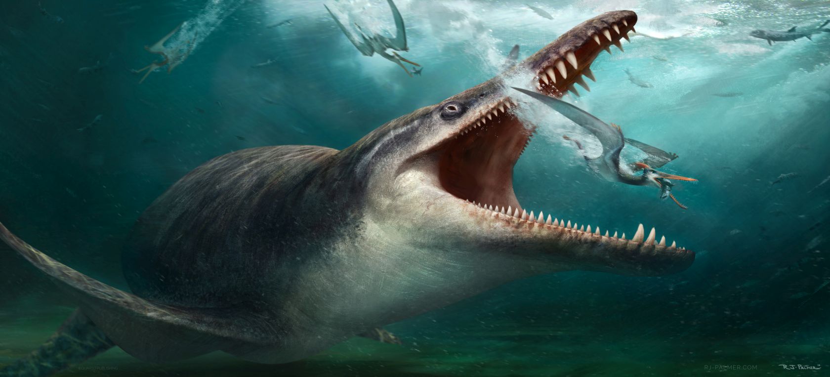 kronosaurus.jpg