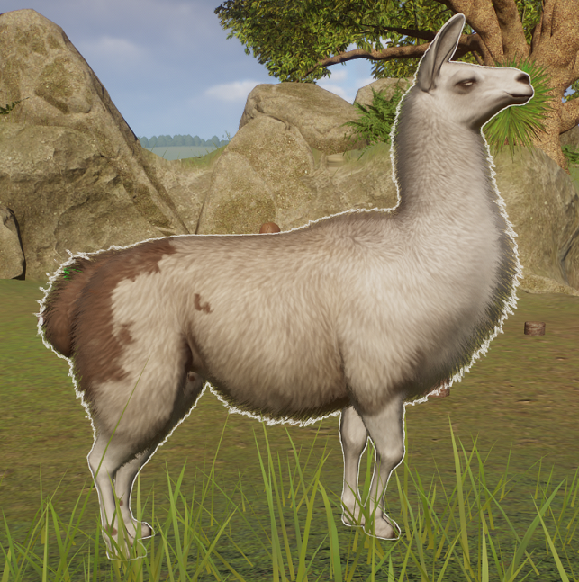 lama butt spot.png