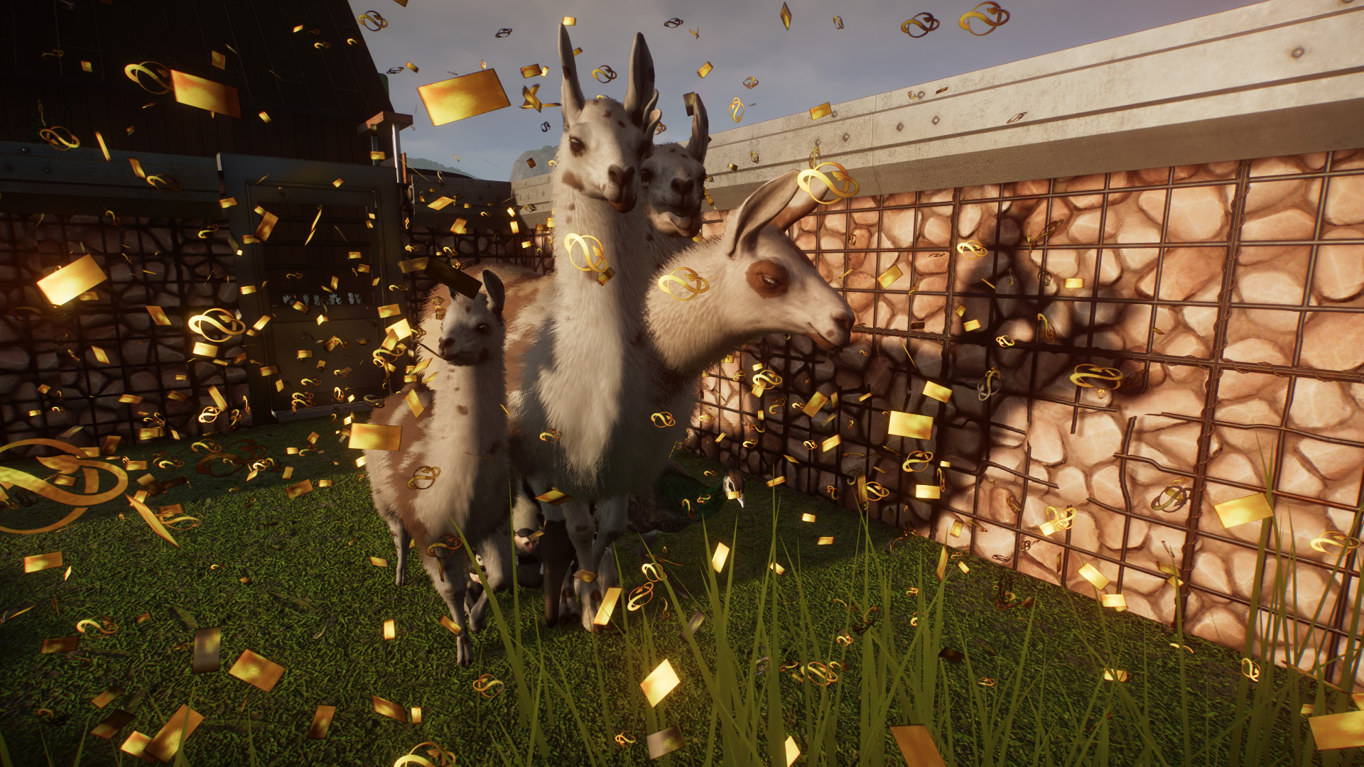Lamaaaa.jpg