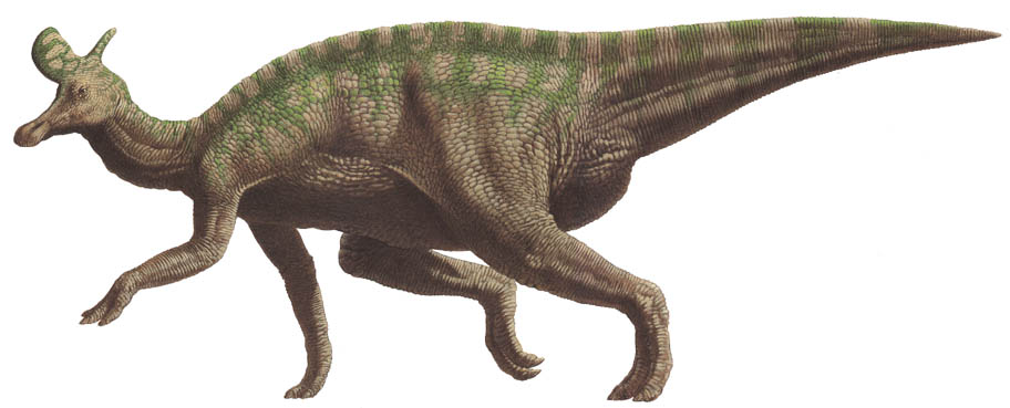 Lambeosaurus_.jpg