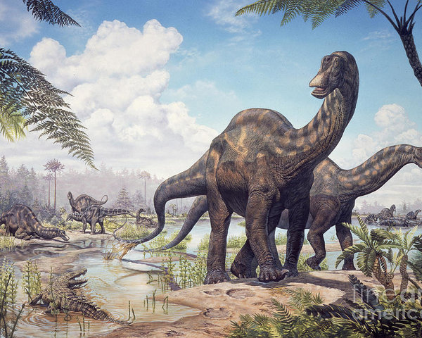 large-dicraeosaurus-sauropods-mark-hallett.jpg