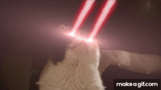 laser_cat.gif