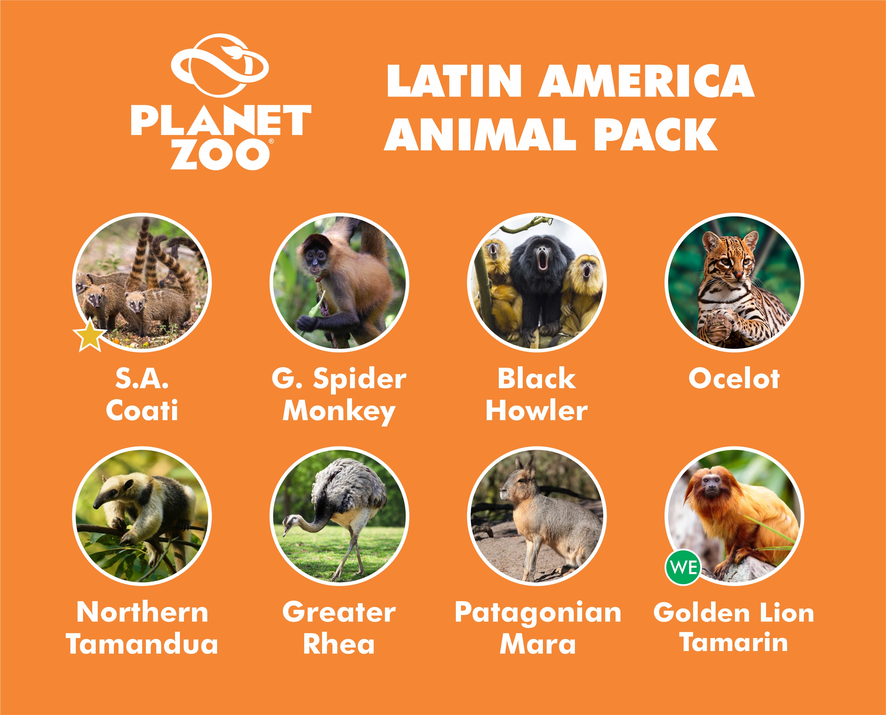 latin america animal pack.jpg