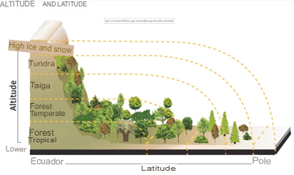 Latitude x longitude arctype.translated.jpg