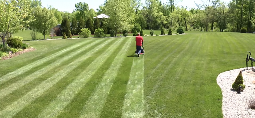 Lawnmower.png