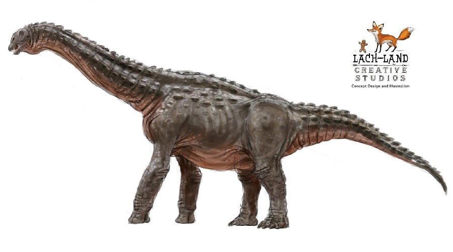 lcreagh_diamantinasaurus_2_sml_4218.jpg