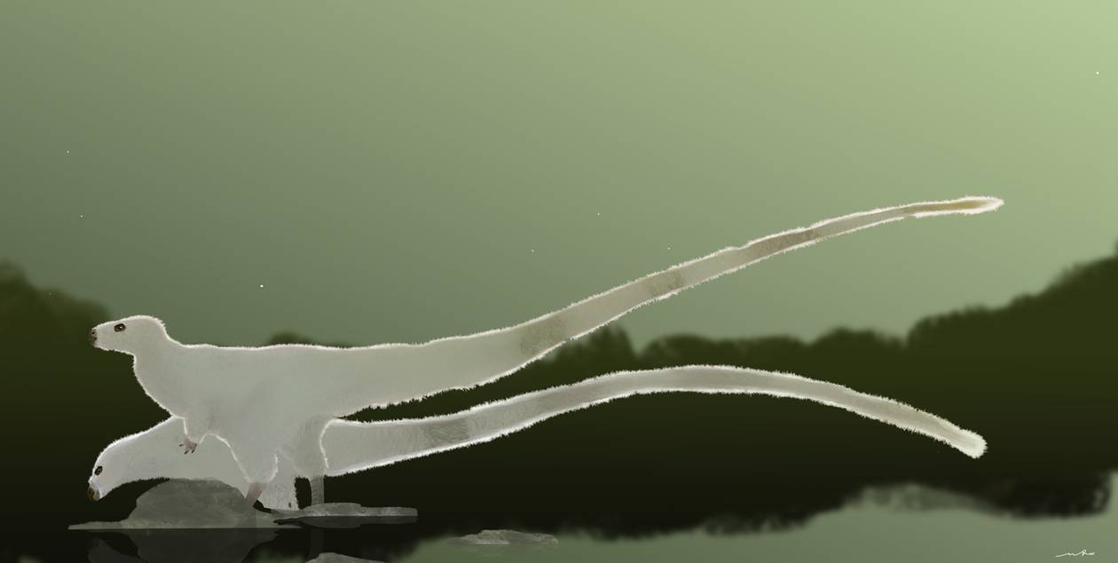 leaellynasaura_by_sm_forrester_dd7icwu-pre.jpg