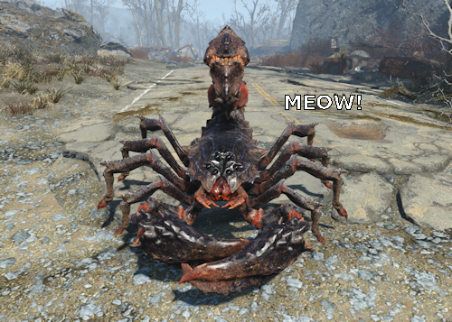 leggycat.png