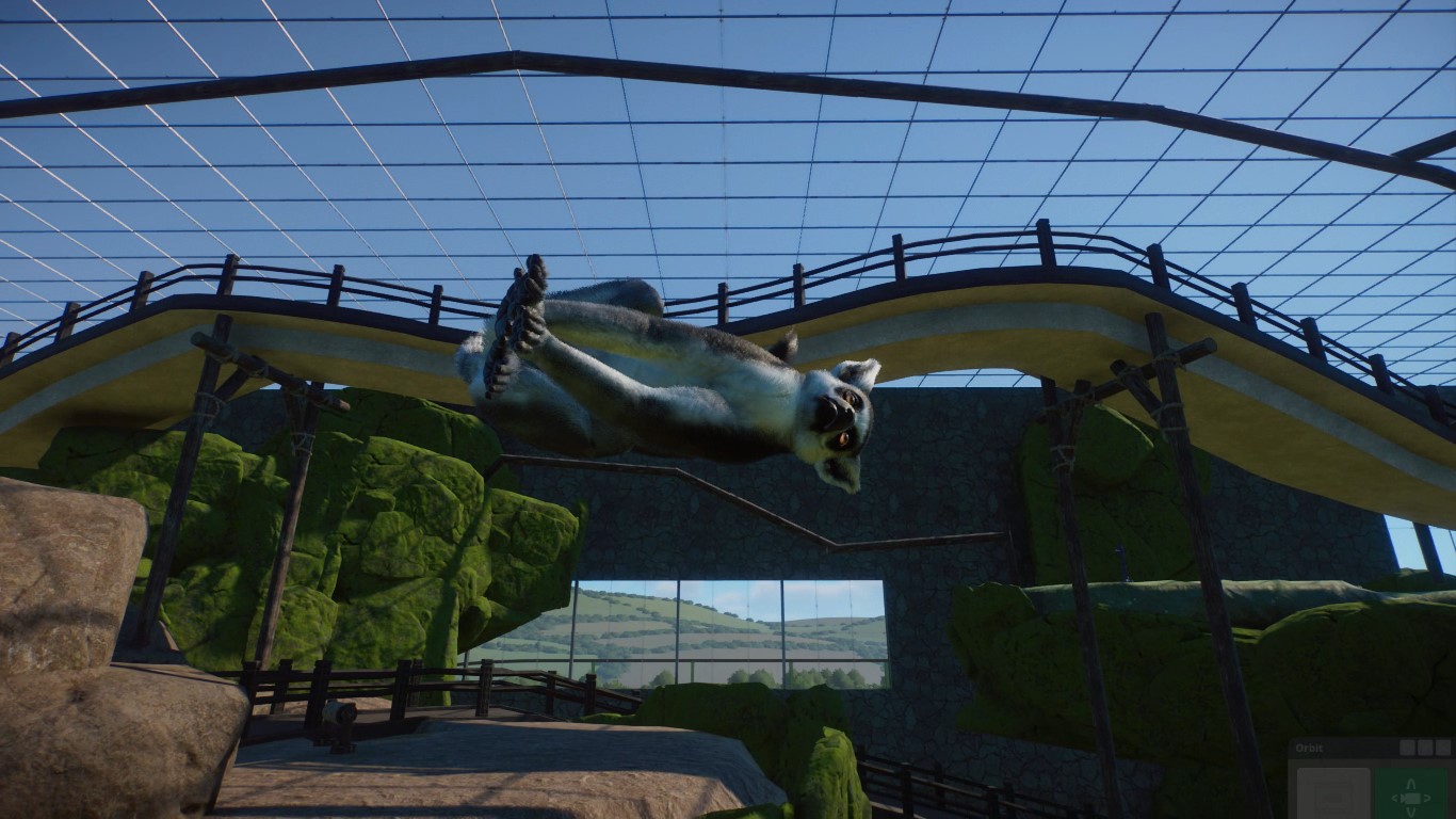 Lemur.jpg
