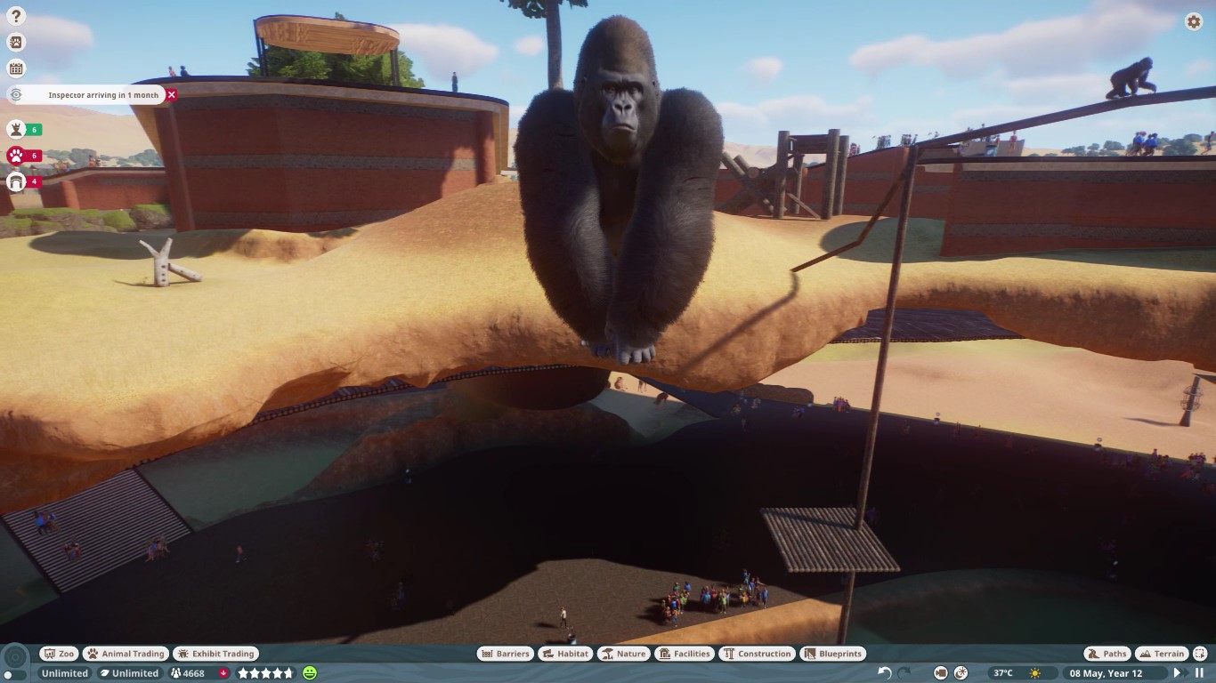 Levitating gorilla.jpg