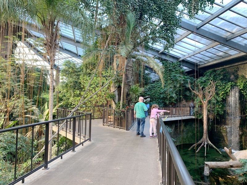 Lied-Jungle-Omaha.jpg