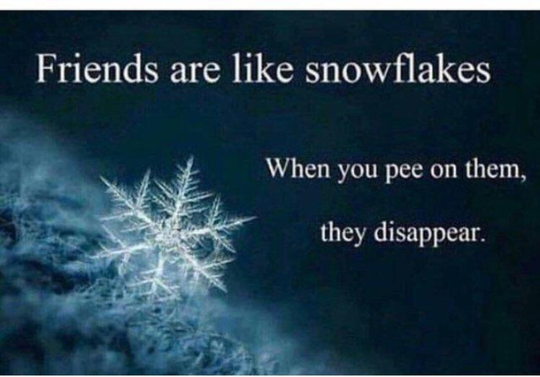 like-snowflakes-339346.jpg