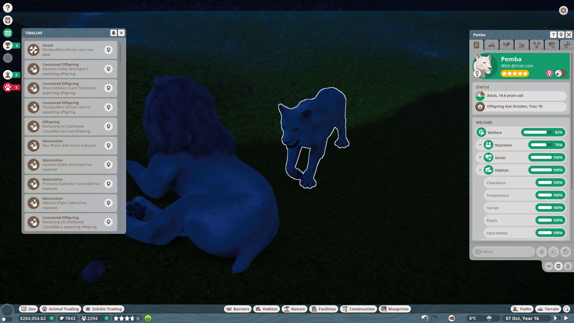 Lion died full term pregnant.jpg