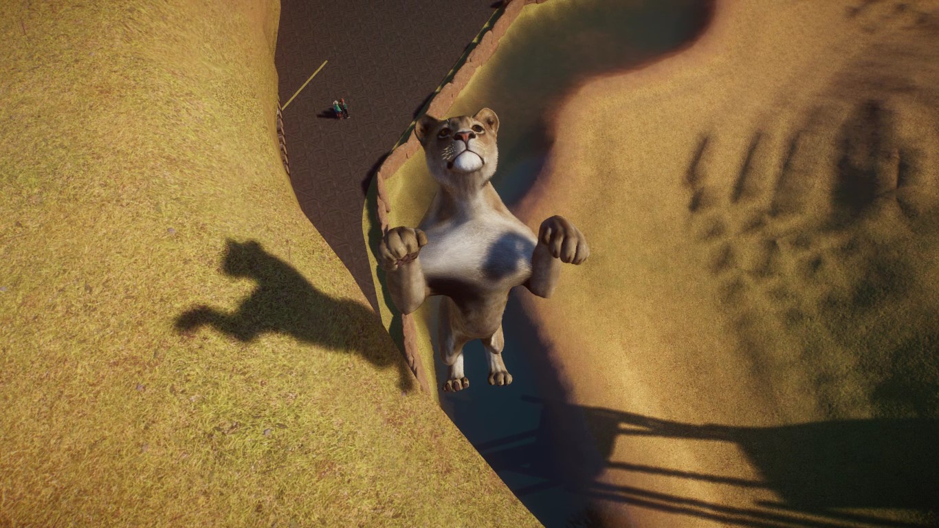 lion.jpg
