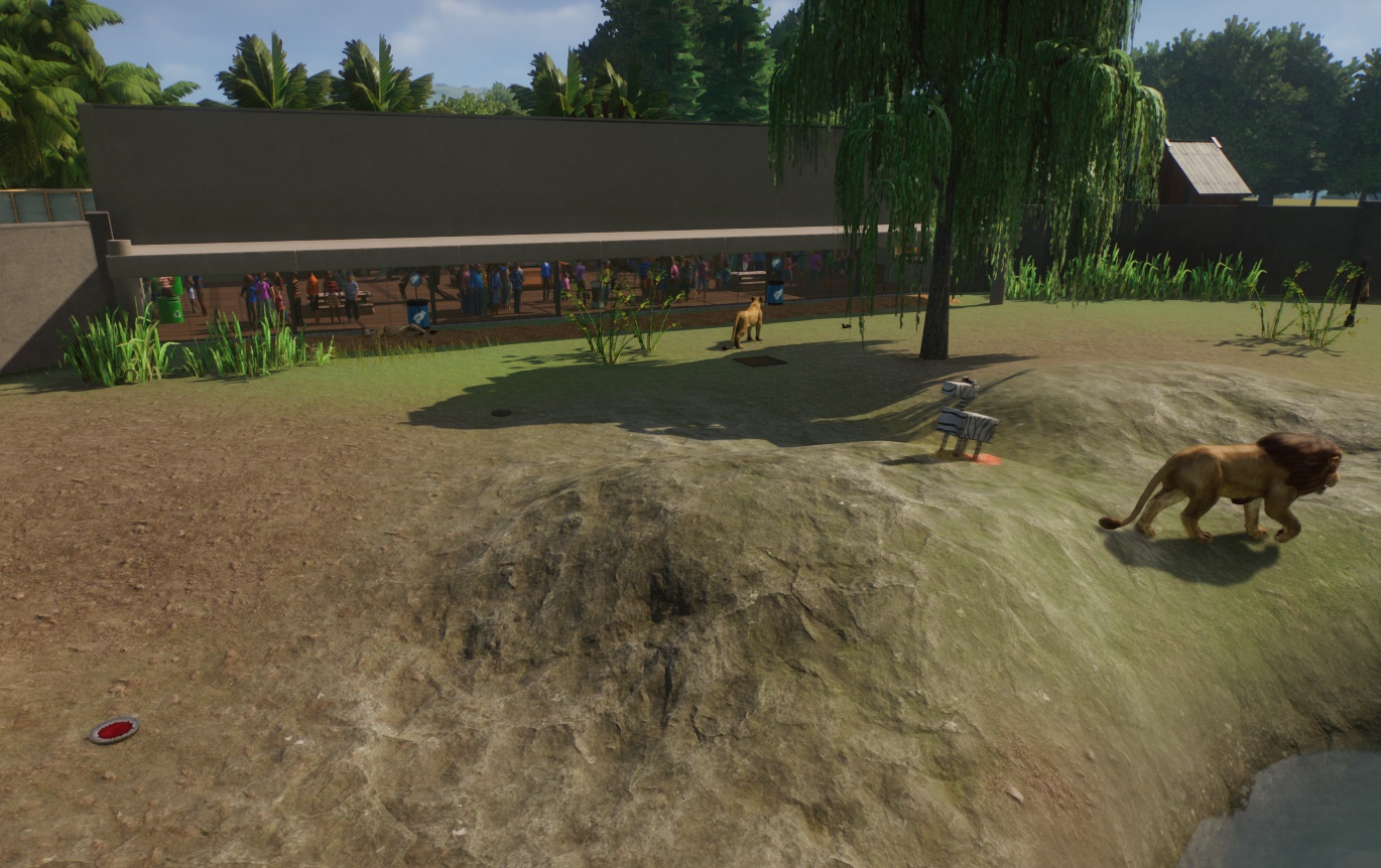LIONLAND7.jpeg