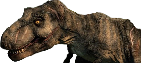 Little_eatie_the_tyrannosaurus_rex_by_sotojoaquin_dfdajr9-375w-2x.png