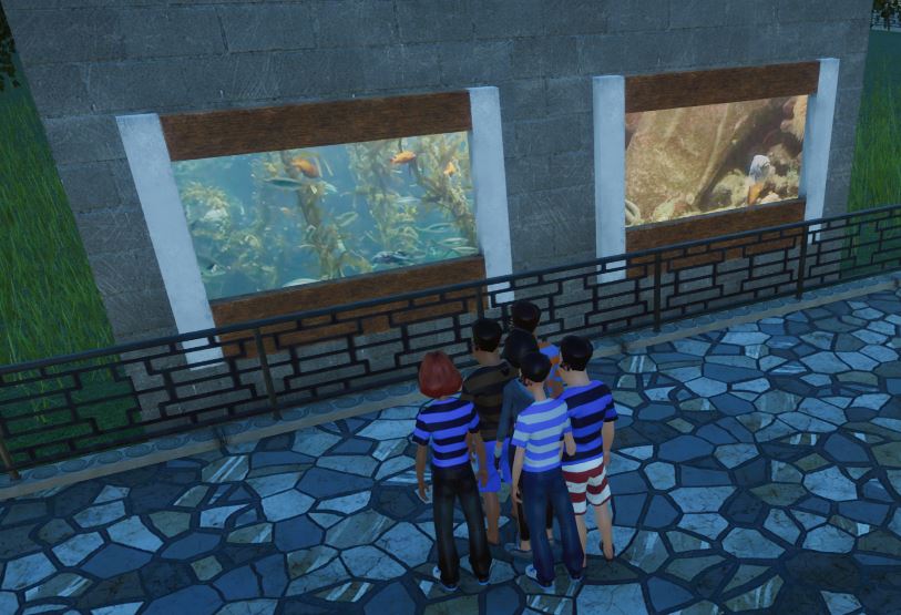looking at aquarium.JPG
