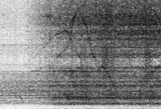 Ls Stacked (contrast adjusted).gif