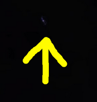 M2_1.PNG
