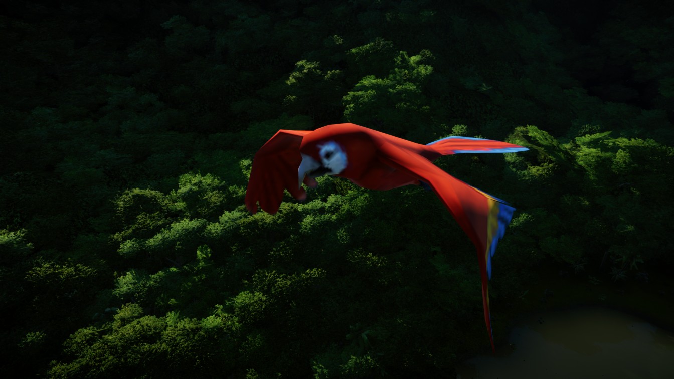 Macaw.jpg