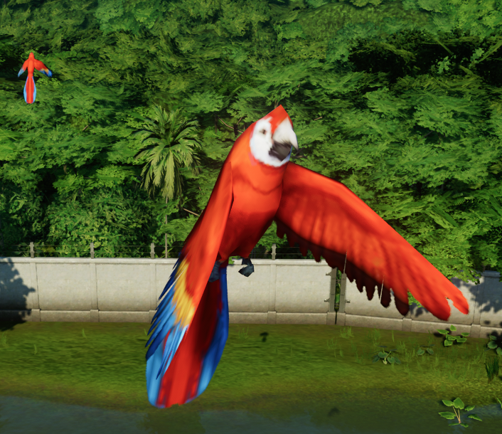 Macaws.png