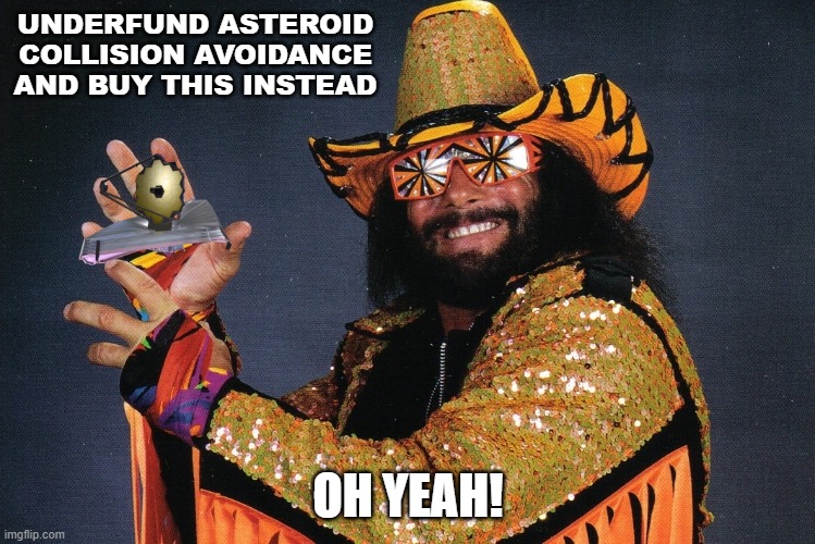 macho-man_webb.jpg
