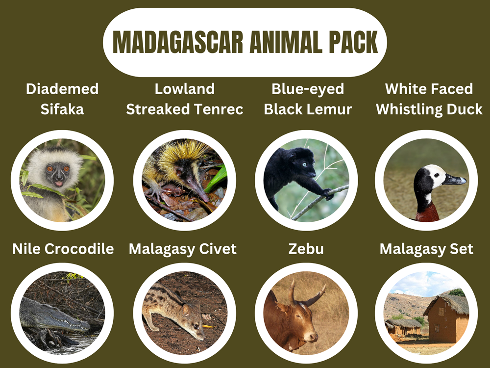 Madagascar Animal Pack.png