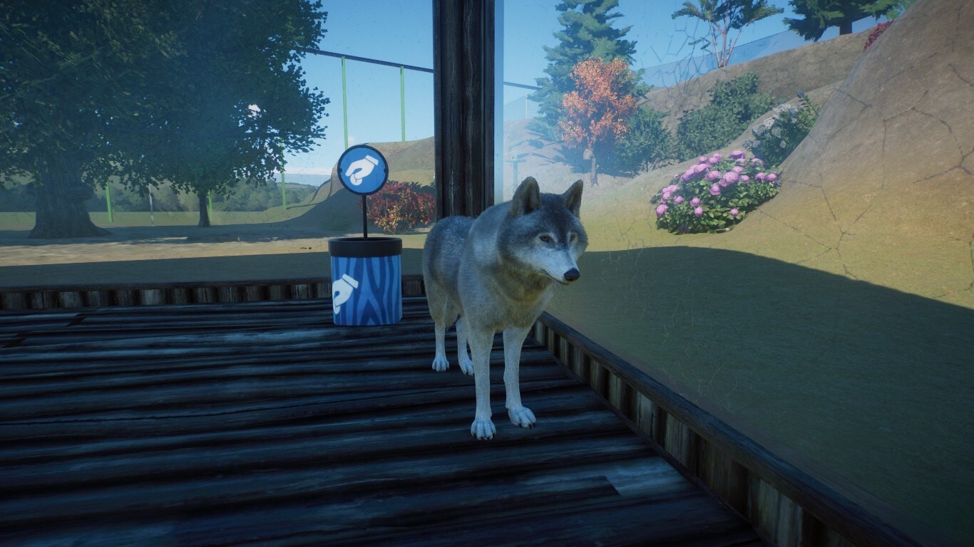 Magic wolf.jpg