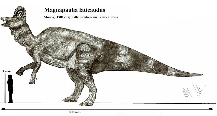 Magnapaul.png