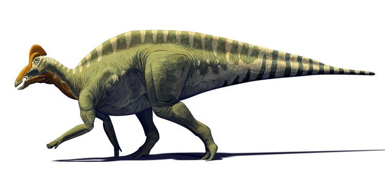 My Top 10 Herbivore Dinosaurs | Frontier Forums