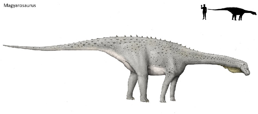 126689