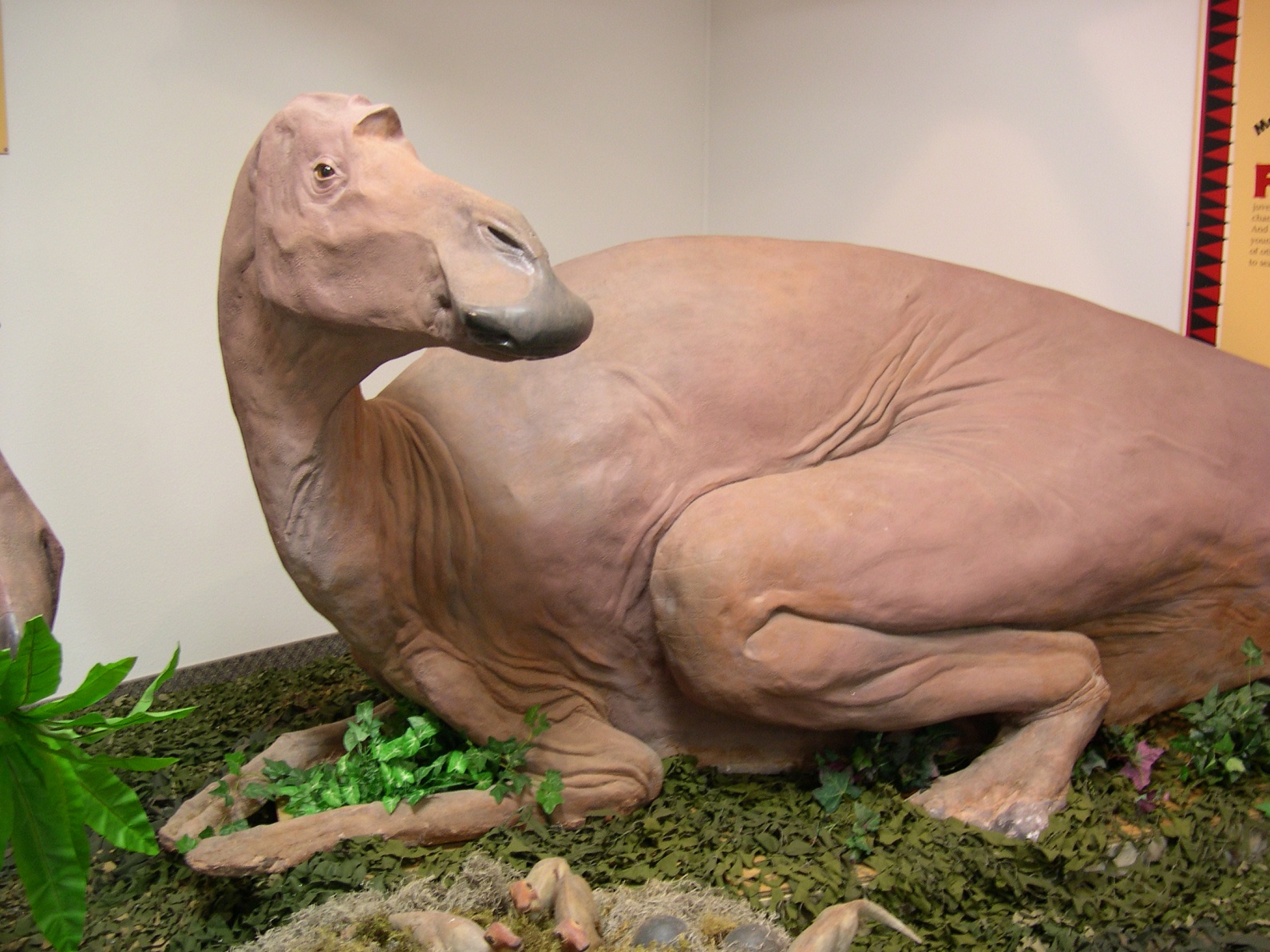 maiasaura-hwb-maiasaura-replica.jpg