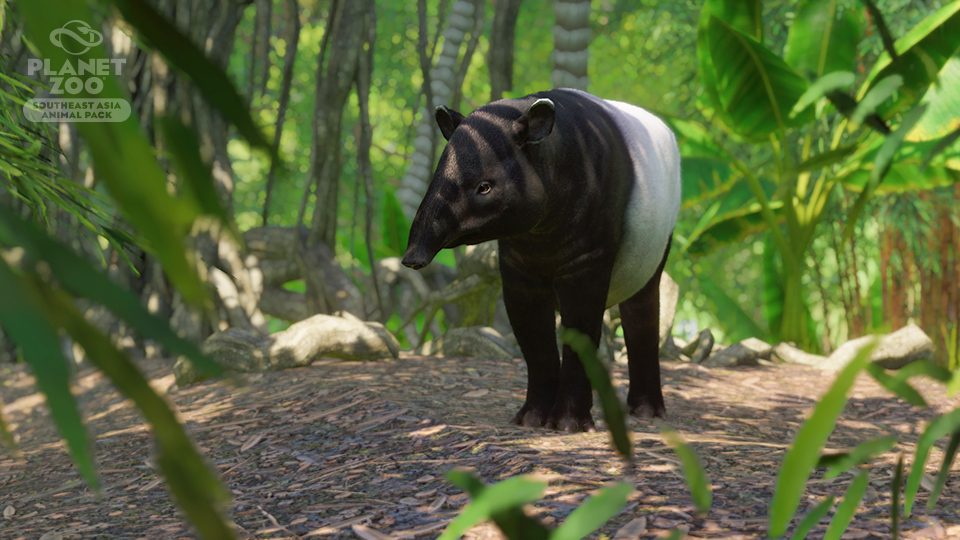 MalayanTapir.PlanetZoo.jpg