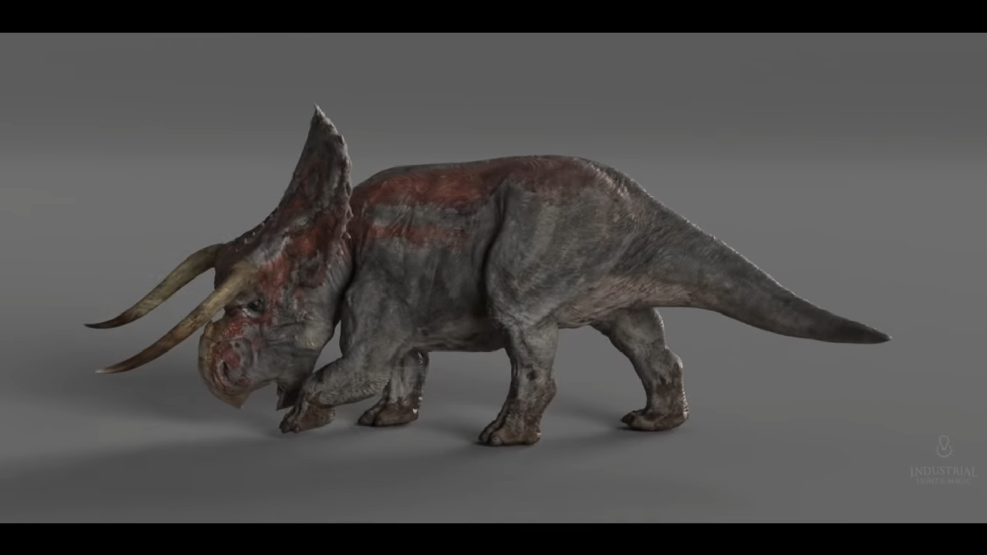 male nasutoceratops.png