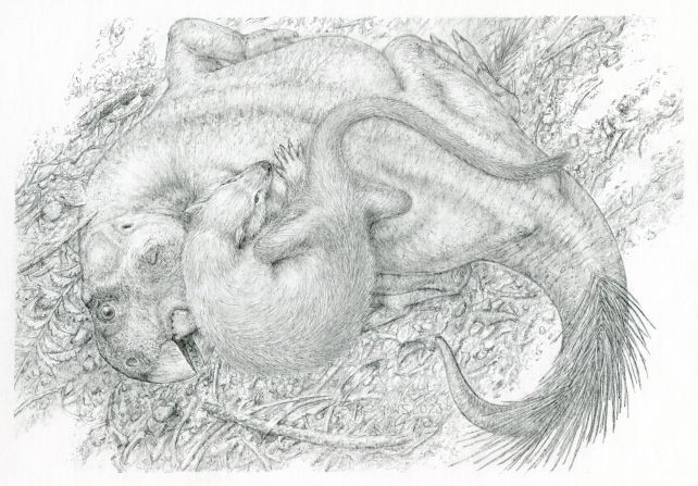 mammal-dinosaur-illustration.jpg
