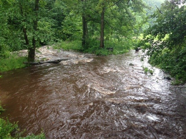 managing-floods-and-droughts-with-forests.jpg