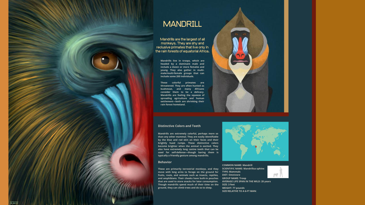 Mandrill01.png