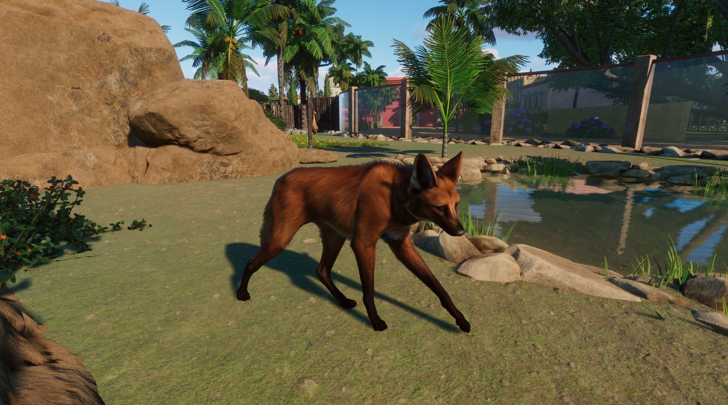 ManedWolf.JPG