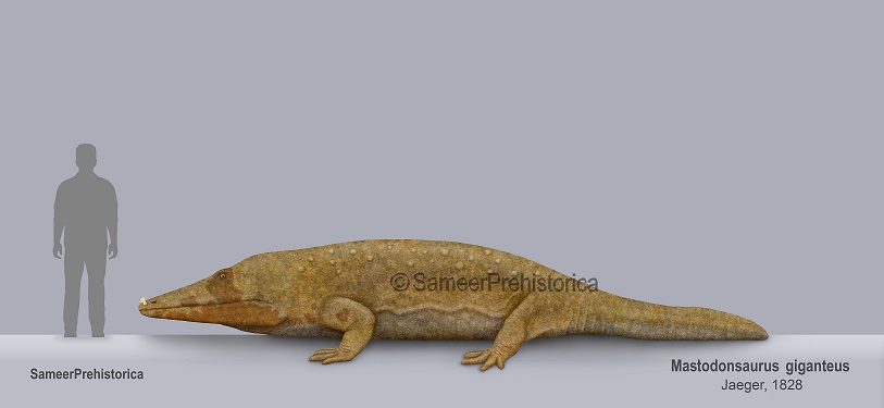 mastodonsaurus.jpg