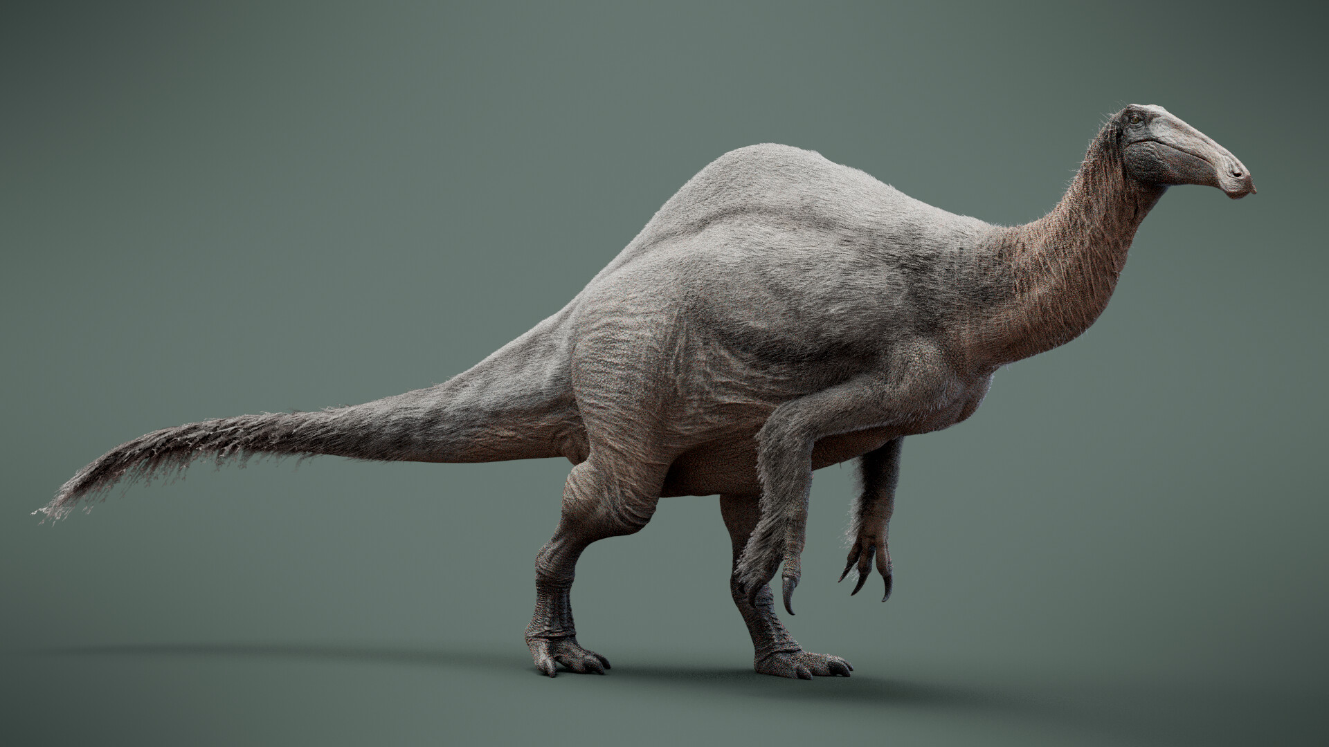 max-bellomio-testyrender7.jpg