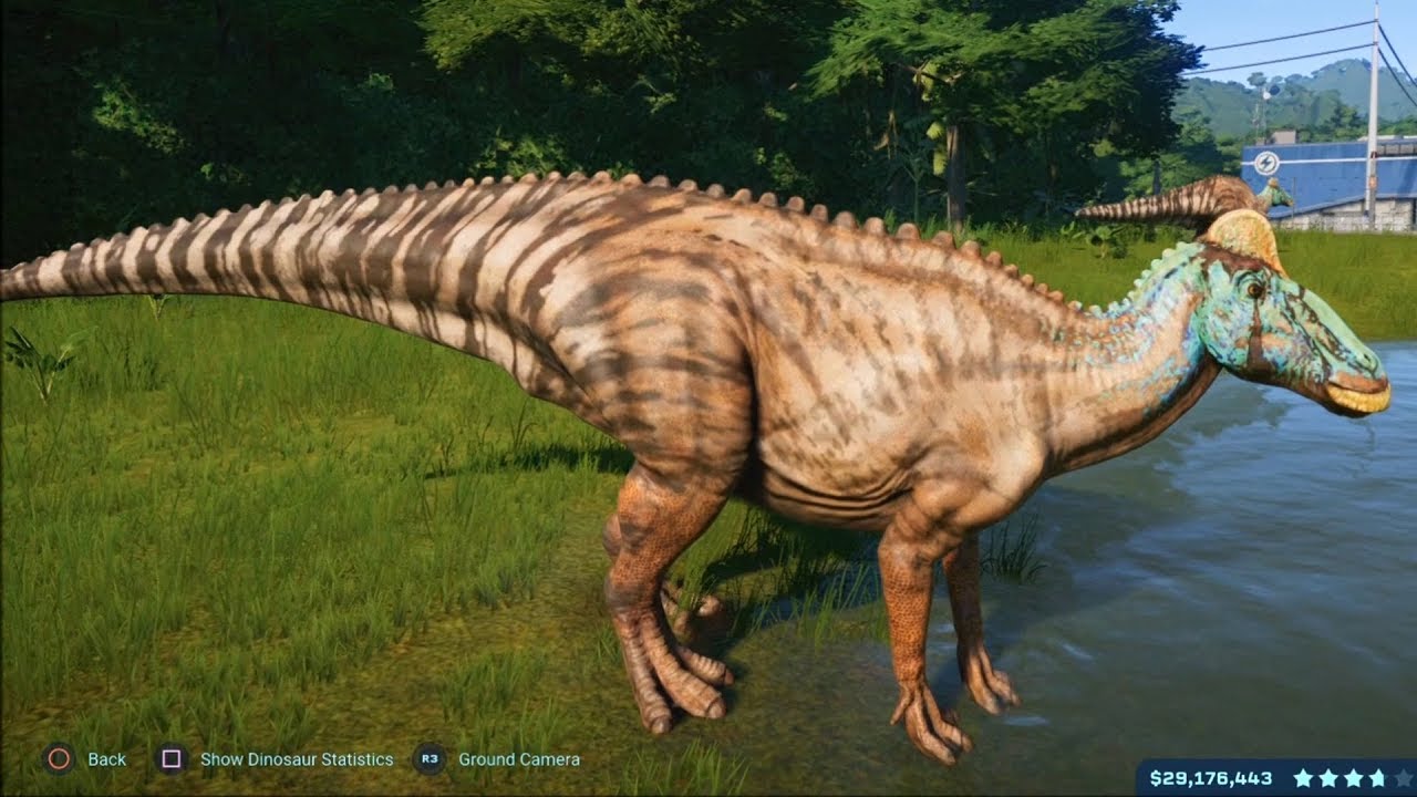 maxresdefault.jpg