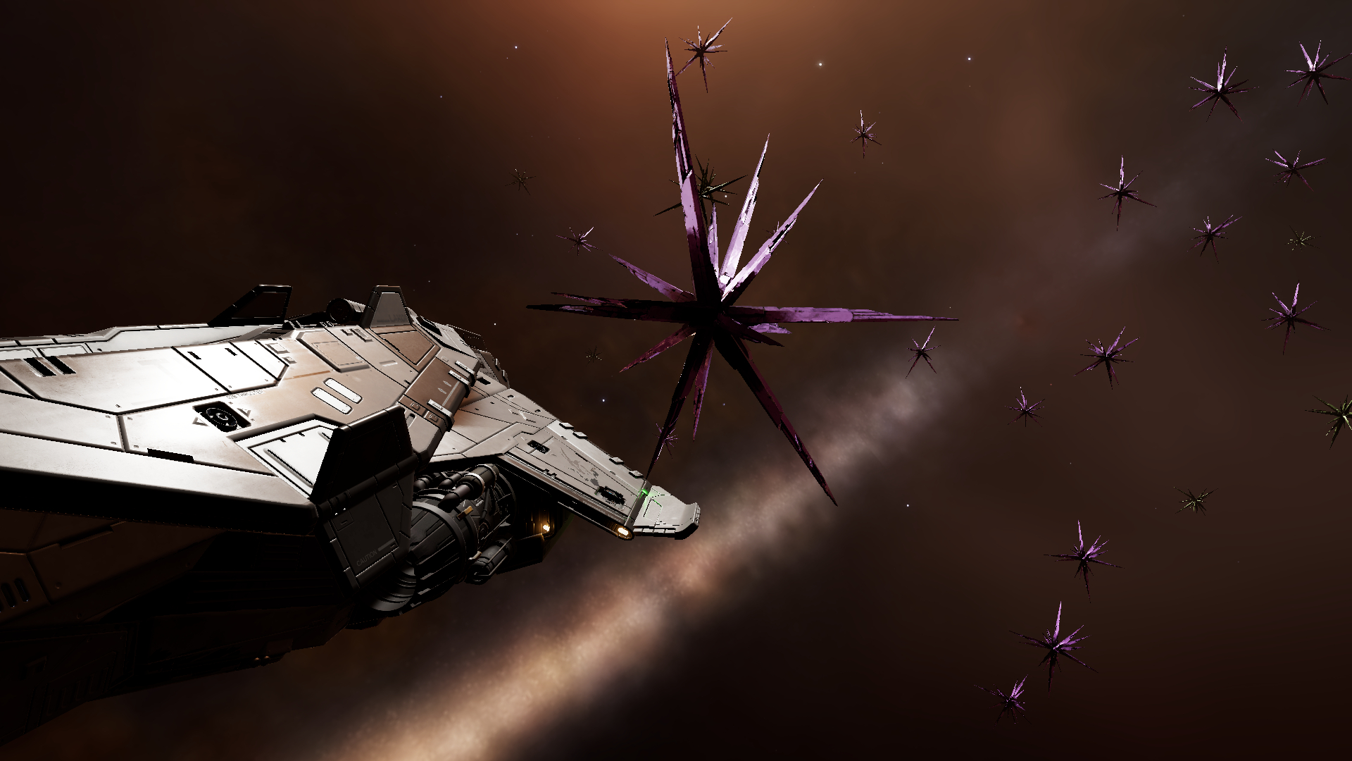 MC Purpureum.jpg