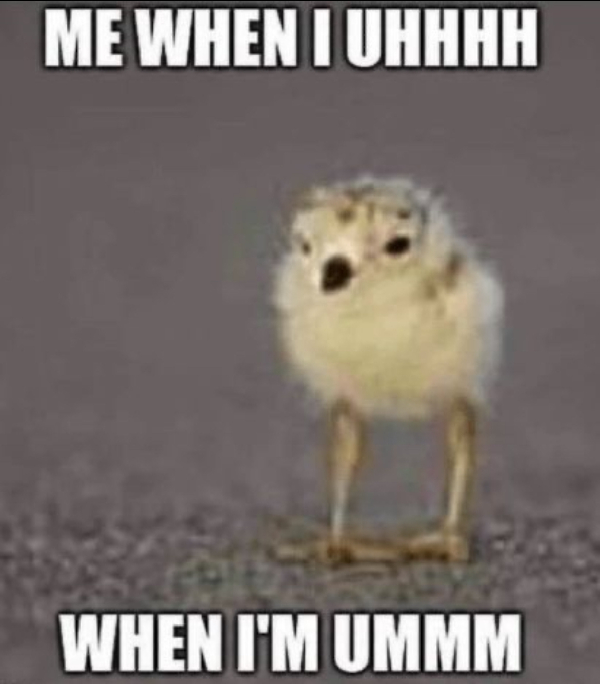 Me.jpg
