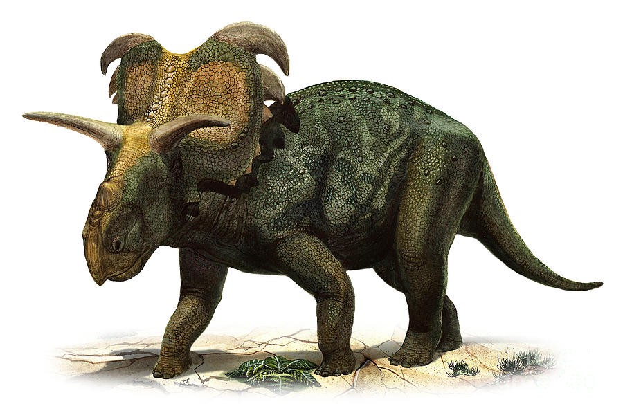 medusaceratops-lokii-a-prehistoric-era-sergey-krasovskiy_c74c.jpg